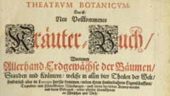 Theatrum Botanicum. Beitragsbild.