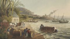 Zuckerrohrverarbeitung auf Antigua. Beitragsbild.