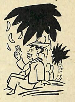 Pedro Chicote: Le ley mojada. 1920, Seite 133 . Cubano-Cocktail.