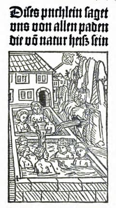 Hans Folz: Dises puchlein saget uns von allen paden die vō natur heisz sein. Nürnberg, 1480.