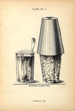 Harry Johnson, 1900, New and Improved Bartender's Manual, Seite 111 - Morning Glory Fizz.