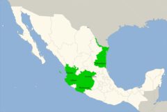 Mexikanische Bundesstaaten, in denen Tequila hergestellt werden darf.