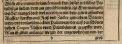M. Adamum Olearium (Hrsg.): Offt begehrte Beschreibung Der Newen Orientalischen Reise. Schleswig, 1645, Seite 7.