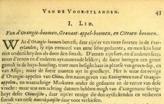 Charles de Rochefort & H. Dullart: Natuurlyke en zedelyke historie van d'eylanden de Voor-Eylanden van Amerika. 1662, Seite 43.