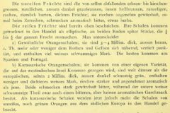 G. C. Wittgenstein: Enzyclopaedie der Naturwissenschaften. II. Abtheilung. II. Theil. 1882, Seite 612.