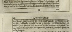 Des HochEdelgebornen Johan Albrechts von Mandelslo Morgenländische Reyse-Beschreibung. 1658, Seite 41-42.