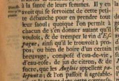 Jean-Albert de Mandelslo, Voyages Célèbres & Remarquables, faits de Perse aux Indes Orientales. 1732, Spalte 45.
