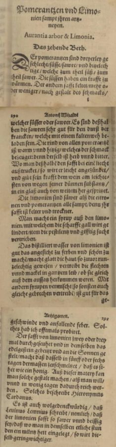 Antonius Mizaldus: Artztgarten. 1577, Seite 289-291.