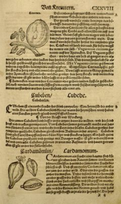 Eucharius Rößlin: Kreuterbuch. 1550, cxxviii.