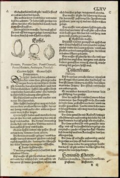 Eucharius Rößlin: Kreutterbuch von allem Erdgewächs. 1533, Seite 165.