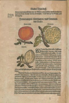 Walther Hermann Ryff: New Vollkommen Distillierbuch. 1597, Seite 54 (links).