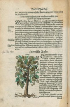 Walther Hermann Ryff: New Vollkommen Distillierbuch. 1597, Seite 55 (links).
