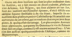 Charles de Rochefort: Histoire naturelle et morale des iles Antilles de l'Amerique. 1658, Seite 447.