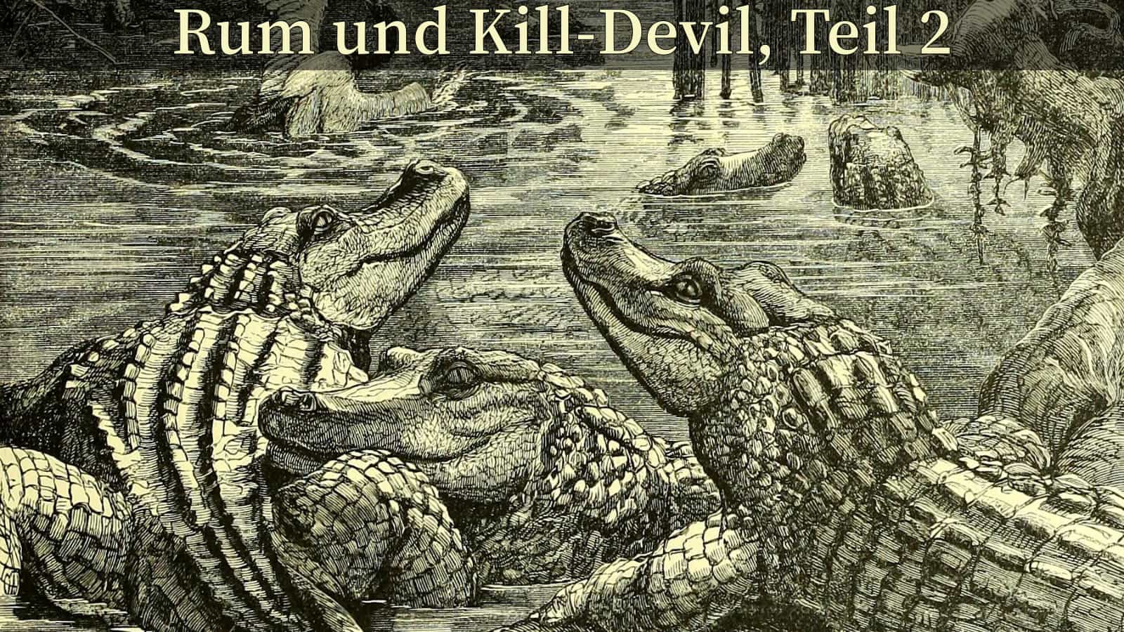 Titelbild - Rum und Kill-Devil, Teil 2.