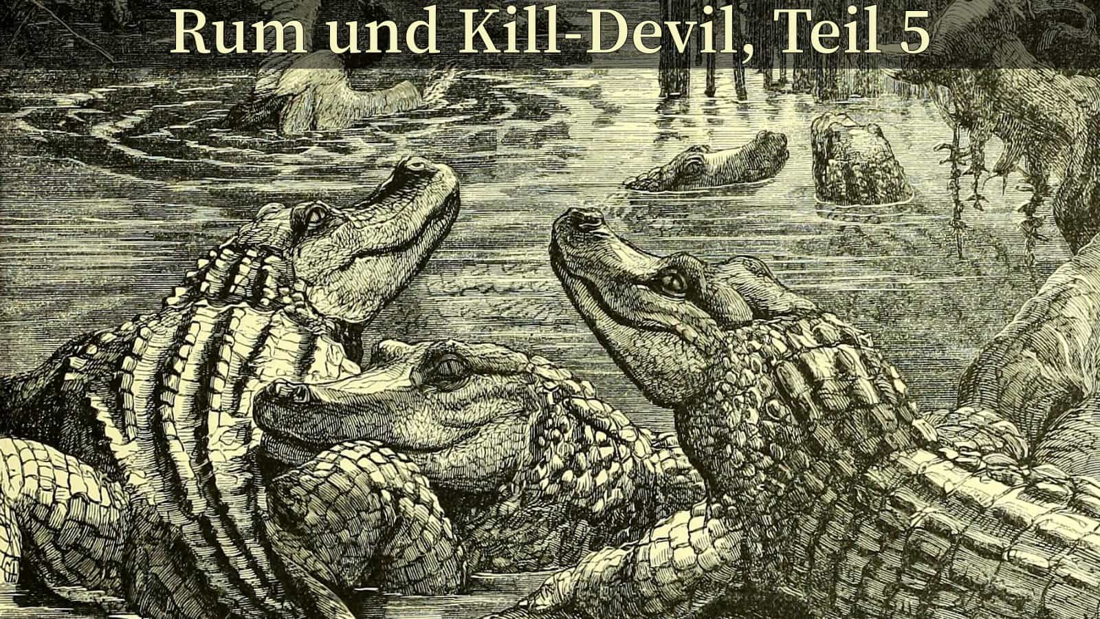 Titelbild - Rum und Kill-Devil, Teil 5.