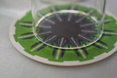 Forum Barkultur. Foto: Landesarchiv Berlin/Grönboldt.