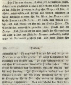 Christian Friedrich Mylius: Malerische Flußreise durch das Südliche Frankreich. Vierter Band. 1819, Seite 339-340.