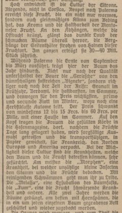 Danziger Zeitung, Beilage zu Nr. 19302. 10. Januar 1892, Seite 1.
