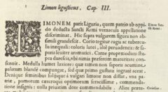 Giovanni Baptista Ferrari: Hesperides.1646, Seite 195.