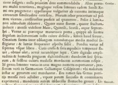 Giovanni Baptista Ferrari: Hesperides.1646, Seite 195,2.