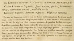J.-A. Risso: Essai dur l’histoire naturelle des orangers ... dans le departement des Alpes Maritimes. 1813, Seite 38.