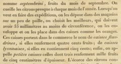 J.-A. Risso: Essai dur l’histoire naturelle des orangers ... dans le departement des Alpes Maritimes. 1813, Seite 73.