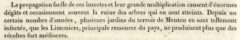 J. L. A. Loiseleur Deslongchamps:Nouveau duhamel ou traité des arbres et arbustes. Tome septième. 1819, Seite 138.