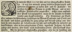 Johann Christoph Volkamer: Continvation der Nürnbergische Hesperides. 1714, Seite 33,1.