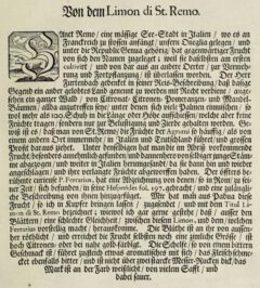 Johann Christoph Volkamer: Continvation der Nürnbergische Hesperides. 1714, Seite 78.