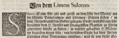Johann Christoph Volkamer: Nürnbergische Hesperides-1708, Seite 155.