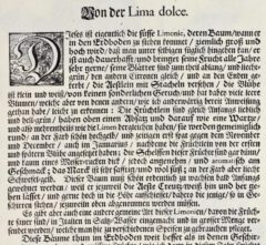 Johann Christoph Volkamer: Nürnbergische Hesperides-1708, Seite 165.