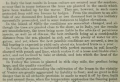 Third biennial report of the state board of horticulture of the state Califonia. 1888, Seite 222.